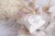 EAEE9C20-BF7B-4667-93A7-C7DFB9A2DD62.png